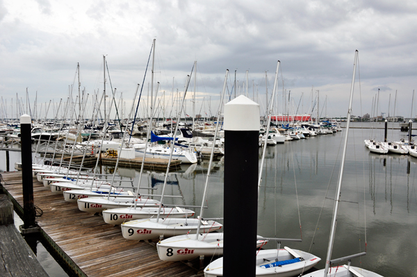 sailboats at Charleston Harbor Marina